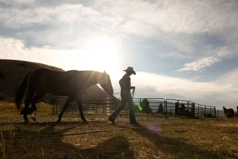 Get to Know the US Female Ranchers Transforming Contemporary Ranching