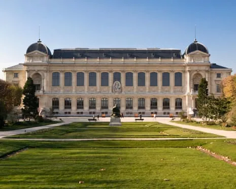 Priceless Golden Samples Stolen in Audacious Robbery at France's Natural History Institution